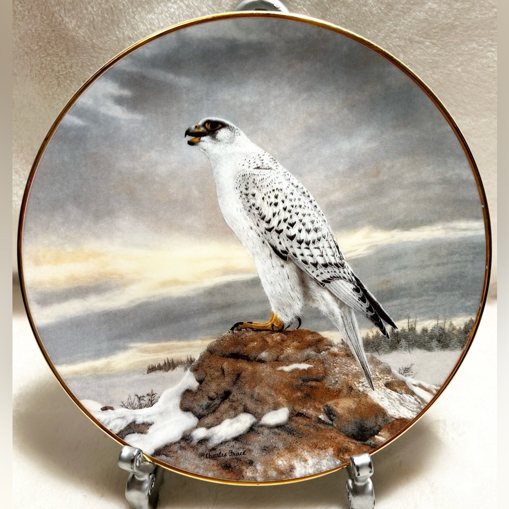 Soaring Majesty Collector Plate The Gyrfalcon 6th Issue Fine China Bradex